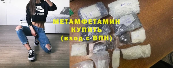 прущие грибы Пересвет