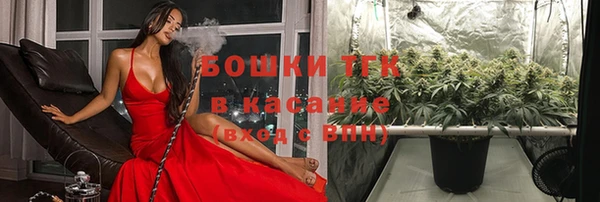 шишки Волосово