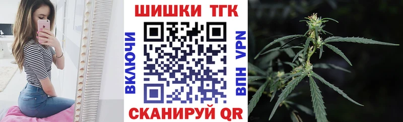 darknet наркотические препараты  Камызяк  Бошки Шишки конопля 